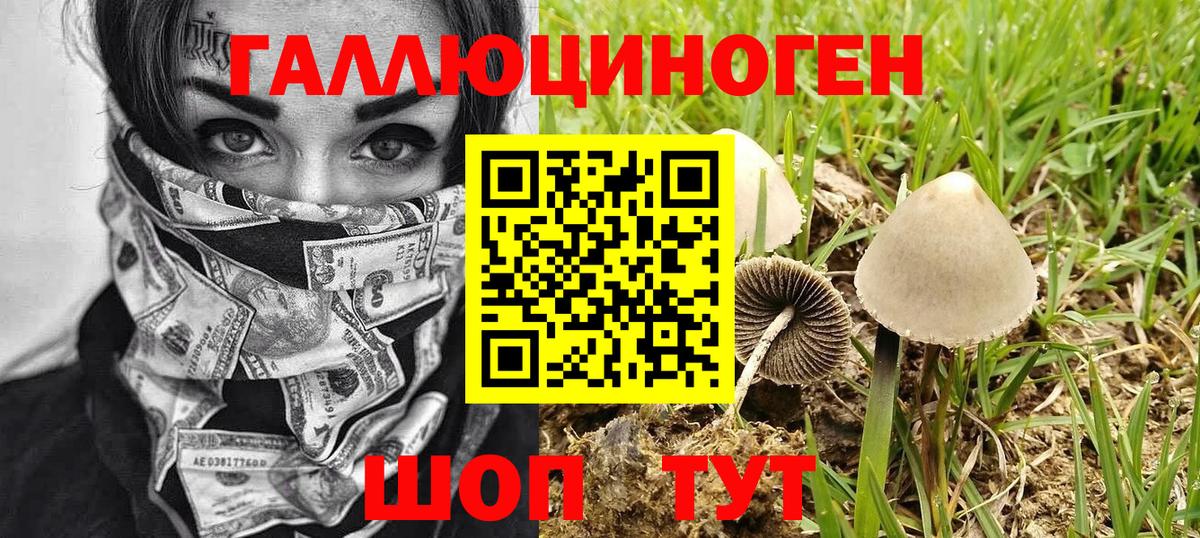 Астрахань  Галлюциногенные грибы прущие грибы  Вход с VPN 